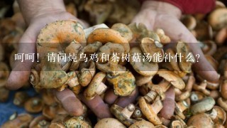 呵呵！请问炖乌鸡和茶树菇汤能补什么？