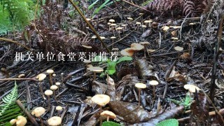 机关单位食堂菜谱推荐