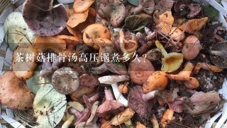 茶树菇排骨汤高压锅煮多久？