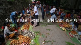 香菇，杏鲍菇，鸡腿菇，茶树菇能不能和鸡肉一起煲汤