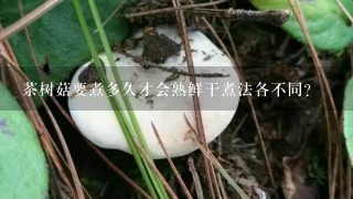 茶树菇要煮多久才会熟鲜干煮法各不同？