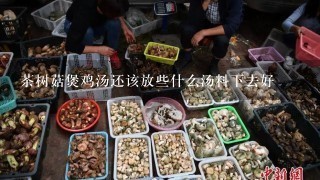 茶树菇煲鸡汤还该放些什么汤料下去好