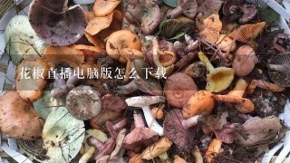 花椒直播电脑版怎么下载