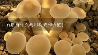 石斛有什么药用功效和价值？