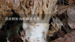 清淡鲜虾汤的做法大全