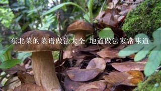 东北菜的菜谱做法大全 地道做法家常味道