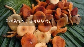 茶树菇泡水了还可以放吗？