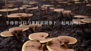 牛排骨可以与茶树菇胡萝卜一起炖汤吗？