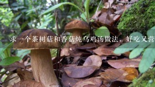 求一个茶树菇和香菇炖乌鸡汤做法，好吃又营养。