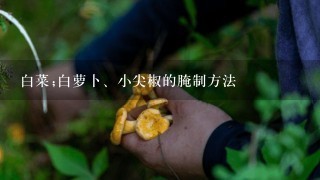 白菜;白萝卜、小尖椒的腌制方法