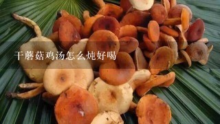 干蘑菇鸡汤怎么炖好喝