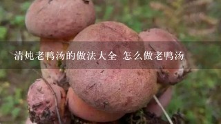 清炖老鸭汤的做法大全 怎么做老鸭汤