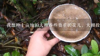 我想种十亩地的大棚养些贵重的花儿，大棚投资需多少？什么样的结构比较合适？（在河南南阳）技术和管理？