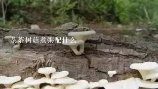 茶茶树菇煮粥配什么