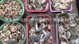 河南南阳有什么好的地方吗？那地方有什么特色的东西吗？