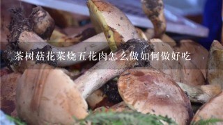 茶树菇花菜烧五花肉怎么做如何做好吃