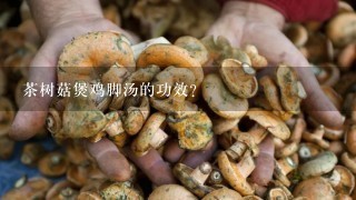 茶树菇煲鸡脚汤的功效？