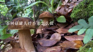 茶树菇罐头拌香菜怎么做