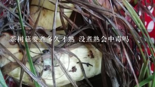 茶树菇要煮多久才熟 没煮熟会中毒吗