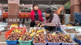 茶树菇煲什么汤