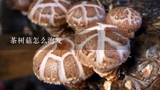 茶树菇怎么泡发