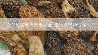 广东炖盅炖汤食谱大全 送给爱喝汤的你