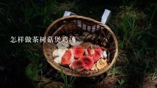 怎样做茶树菇煲鸡汤