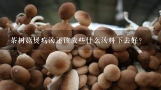 茶树菇煲鸡汤还该放些什么汤料下去好？