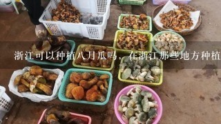 浙江可以种植八月瓜吗，在浙江那些地方种植八月瓜最适合？