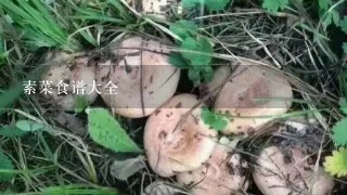 素菜食谱大全