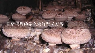 香菇炖鸡汤怎么炖好吃又好喝