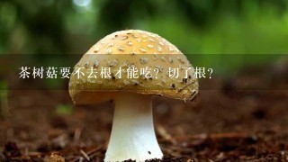 茶树菇要不去根才能吃？切了根？