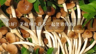 你好！茅根和土茯苓一起煲猪骨汤？