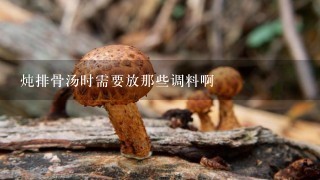 炖排骨汤时需要放那些调料啊