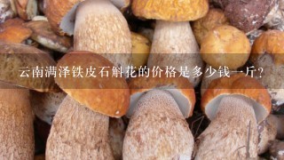 云南满泽铁皮石斛花的价格是多少钱一斤？