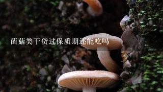 菌菇类干货过保质期还能吃吗