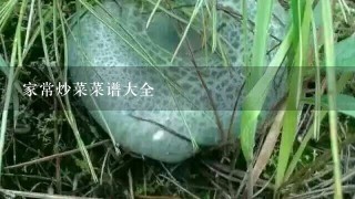 家常炒菜菜谱大全