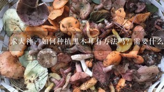 求大神，如何种植黑木耳有方法吗？需要什么材料？我现在已经走头无路了?拜托大家帮个忙小弟在此感谢大家