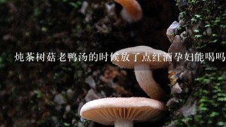 炖茶树菇老鸭汤的时候放了点红酒孕妇能喝吗