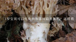 1岁宝贝可以吃兔肉和茶树菇煮粥吗？这样搭