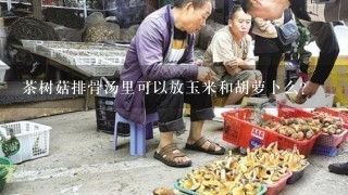 茶树菇排骨汤里可以放玉米和胡萝卜么？