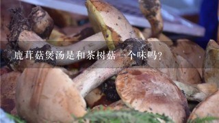 鹿茸菇煲汤是和茶树菇一个味吗？