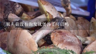 猴头菇没有泡发就煲汤了可以吗