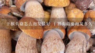 干猴头菇怎么泡发最好 干猴头菇要泡发多久