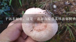 干锅茶树菇，这是一道湖南家常菜味浓郁鲜香酸辣适口