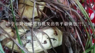 济宁市附近哪里有批发出售平菇菌包??？