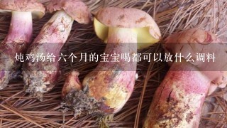 炖鸡汤给六个月的宝宝喝都可以放什么调料