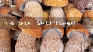 给孩子煲汤用干茶树菇煲什么汤好喝？