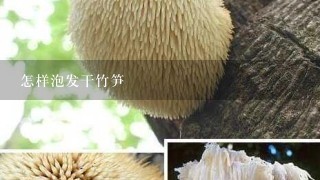 怎样泡发干竹笋