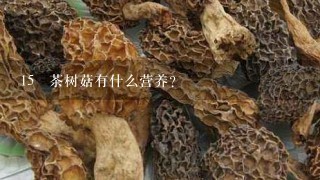 15 茶树菇有什么营养?